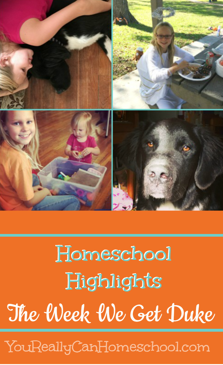 Homeschool Highlights. The week we get duke. YouReallyCanHomeschool.com