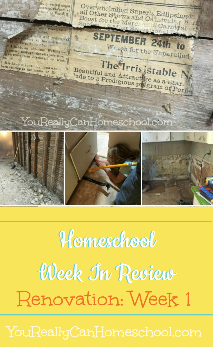 What a week it's been, homeschooling through a kitchen renovation is harder and easier than I expected. There were so many homeschool STEM lessons I never could have planned. It's dirty and dusty but boy did we learn a lot this week! http://YouReallyCanHomeschool.com