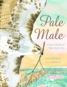 Pale Male Citizen Hawk of New York City and 19 more picture books for 5th graders