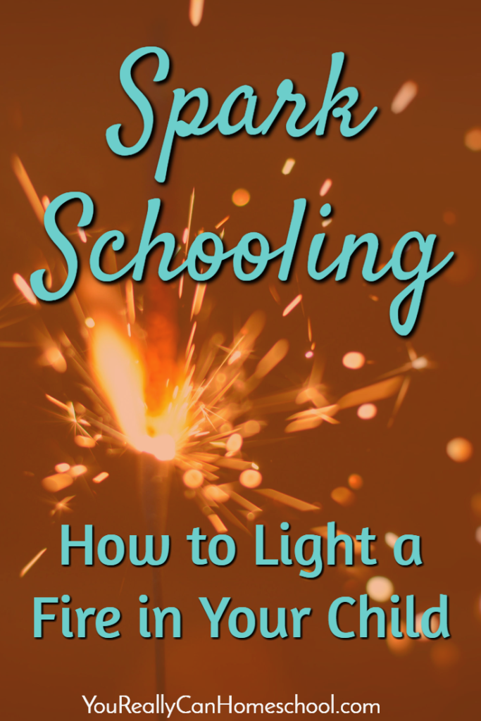 Spark Schooling How to Light a Fire in Your Child in 3 Simple Steps