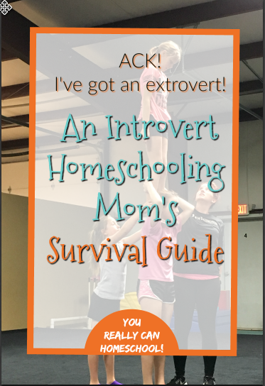 Introvert Homeschool Mom's survival guide